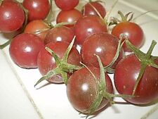 Light blue cherry for sale  Reno