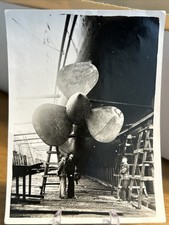 Foto wk2 wehrmacht gebraucht kaufen  Mannheim