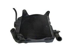 Wasserkühler honda 500 gebraucht kaufen  Ellwangen (Jagst)