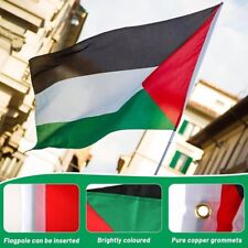 Drapeaux palestine palestine d'occasion  Viry-Châtillon