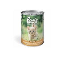 Leo cat kitten usato  Italia
