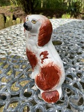 Single staffordshire spaniel for sale  ABERGAVENNY