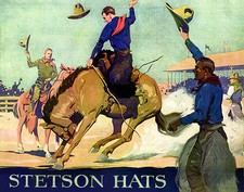 1902 stetson hats for sale  USA
