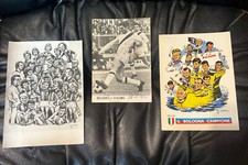 Cartoline vittorie bologna usato  Lodi