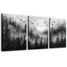 Black white wall for sale  Eugene