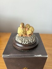Country artists ducklings for sale  DONCASTER
