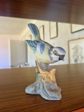 Blue tit bird for sale  HOLYWELL