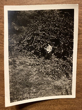 Vintage 1930s young for sale  New Hartford