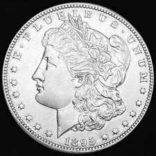 1895 morgan dollar for sale  Chandler