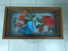 Boite papillon morpho d'occasion  Coulaines
