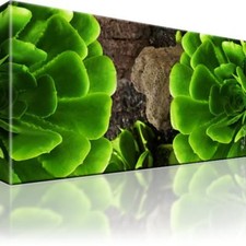 Natur grün pflanze gebraucht kaufen  Deutschland