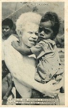 New caledonia albinos d'occasion  Expédié en Belgium