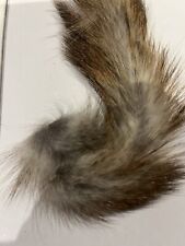 squirrel tail for sale  CRAMLINGTON