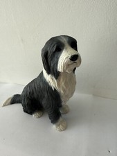 bearded collie for sale bearded collie for sale NEWQUAY