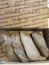 Authentic kentucky indian for sale  Burkesville