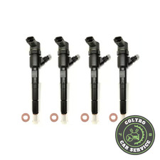 Kit iniettori diesel usato  Bovolone