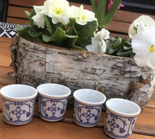 Strohblume indisch blau gebraucht kaufen  Wuppertal