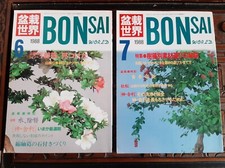 Bonsai magazines 7 for sale  NORTHAMPTON