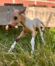 Breyer traditional cute for sale  BOSTON