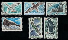 Tern petrel penguin for sale  UK