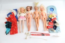 sindy doll pedigree for sale sindy doll pedigree for sale LEEDS