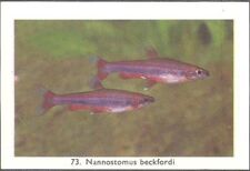 Rizla exotic aquarium for sale  MATLOCK