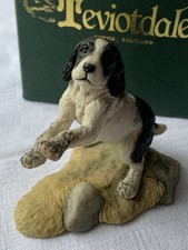 Spaniel black white for sale  GUILDFORD
