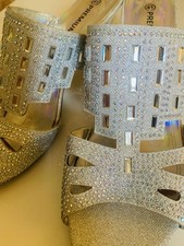 Premium silver sparkle for sale  UK