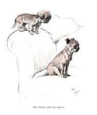 Antique brussels griffon for sale  Harborton