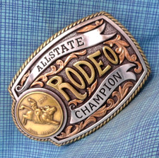 2012 bull riding for sale  Torrington