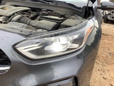 Driver left headlight for sale  Carnesville