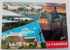 Chevaux camargue gardians d'occasion  Dombasle-sur-Meurthe
