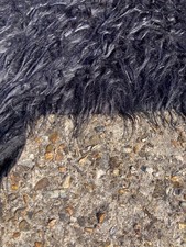 Long pile coarse for sale  WINDSOR