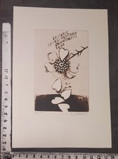 Wunderkammer exlibris 231 usato  Pescara