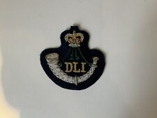 Dli badge for sale  SUNDERLAND