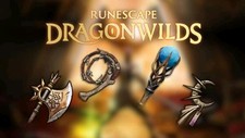 Runescape dragonwild 10k for sale  Wellford