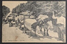 Cpa attelage boeufs d'occasion  Saint-Germain-du-Puy