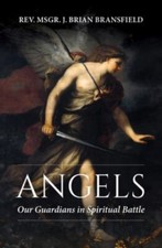 Angels: Our Guardians in Spiritual Battle by J Brian Bransfield (paperback) comprar usado  Enviando para Brazil