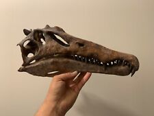 Réplique crane dinosaure d'occasion  France
