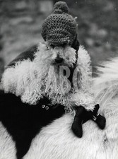 Vintage animali vestiti usato  Roma