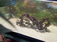 Aquarium full set for sale  LEICESTER