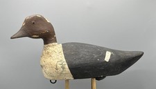 Early 1900 goldeneye for sale  Franklin