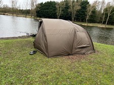 cyprinus for sale cyprinus for sale CAMBRIDGE