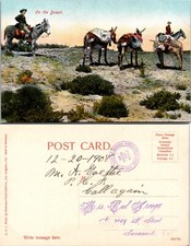 Desert horse pack for sale  Mansfield