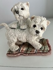 Country artists puppy for sale  HARTLEPOOL