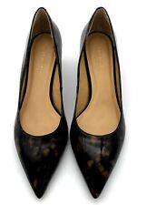Talbots sylvie kitten for sale  Doylestown