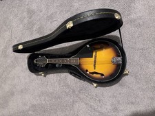Rogue mandolin sunburst for sale  Riverview
