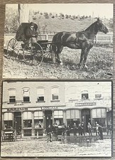 Lot woodstock historical for sale  Bensalem