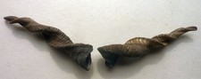 perchten gebraucht kaufen perchten gebraucht kaufen Obersontheim