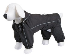 Kerbl manchester dog for sale  CHESTERFIELD